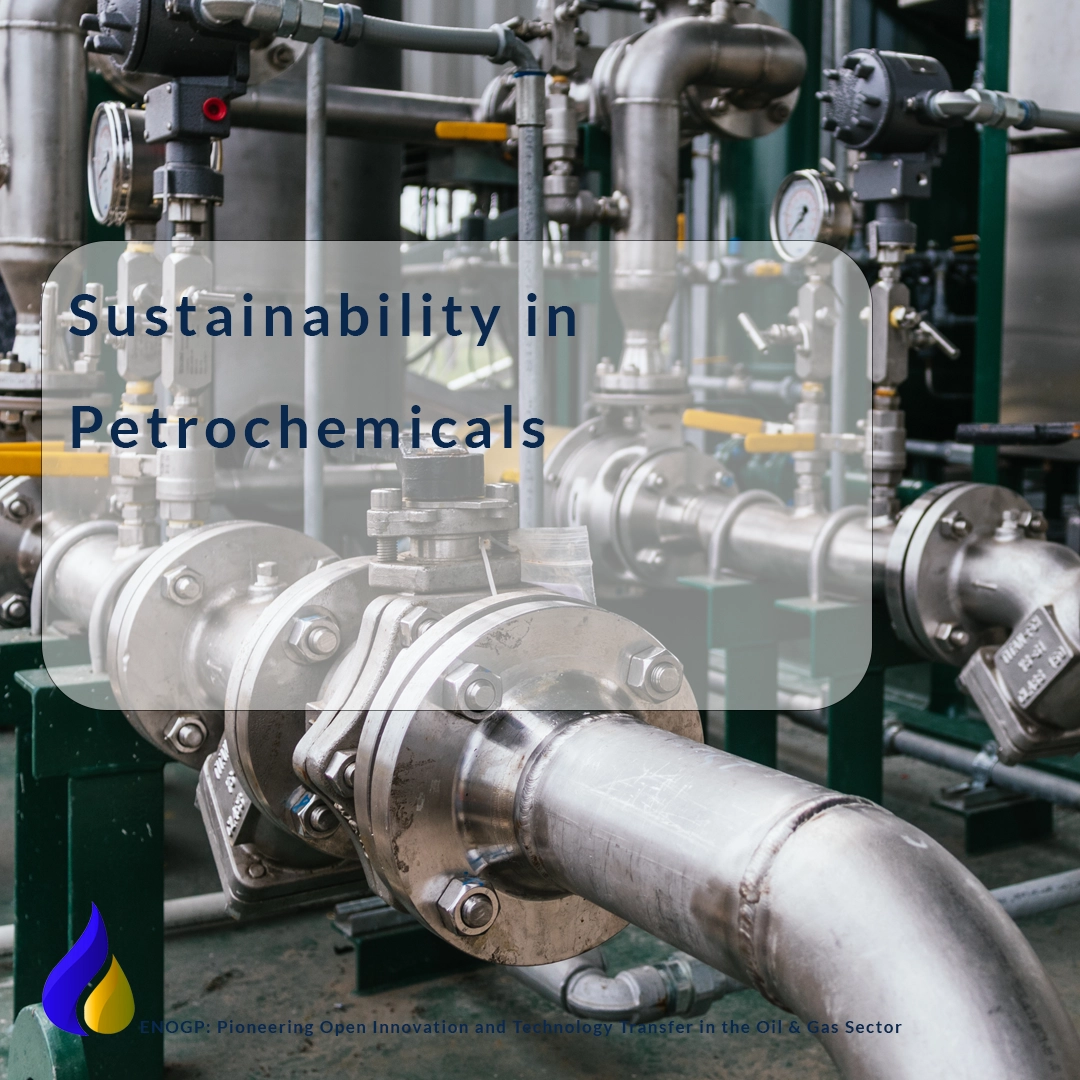 Sustainability in Petrochemicals
Petrochemical Industry Matters
