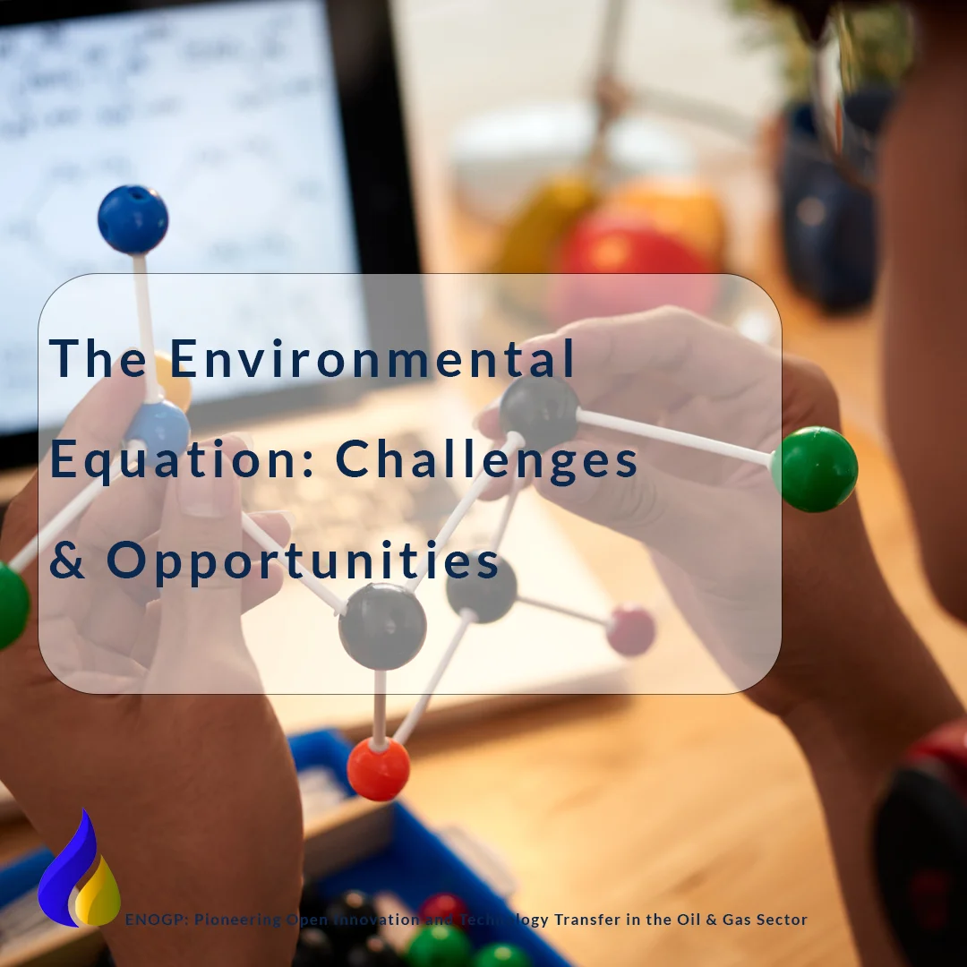 Environmental Equation